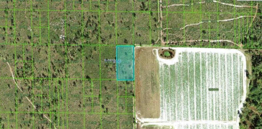 Land in Lake Wales, Florida № 2162033