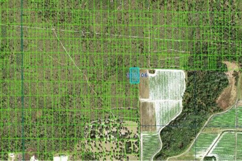 Land in Lake Wales, Florida № 2162033 - photo 3