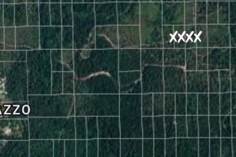Land in DeLand, Florida № 2164179