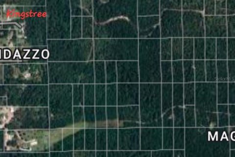 Land in DeLand, Florida № 2164179 - photo 2