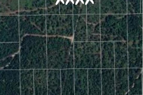 Land in DeLand, Florida № 2164179 - photo 3