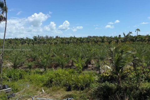 Immobilier commercial à vendre à Homestead, Floride № 2057465 - photo 2