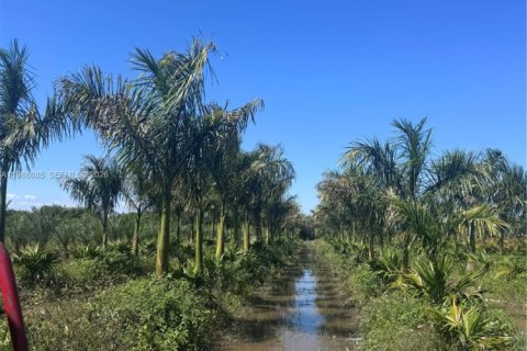 Immobilier commercial à vendre à Homestead, Floride № 2057465 - photo 4