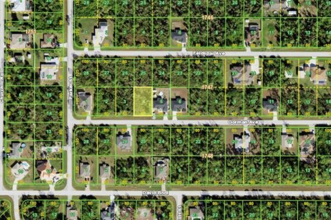 Land in Port Charlotte, Florida № 2394070 - photo 3