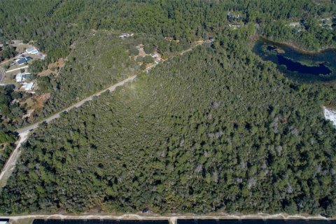 Land in De Leon Springs, Florida № 2214758 - photo 4