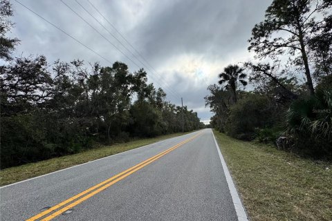 Land in De Leon Springs, Florida № 2214758 - photo 2