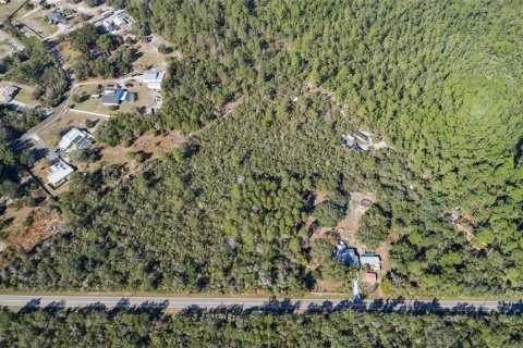 Land in De Leon Springs, Florida № 2214758 - photo 8