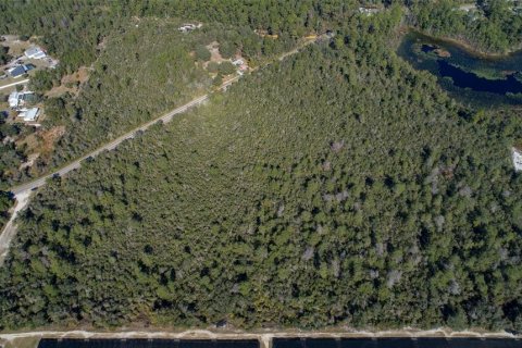 Land in De Leon Springs, Florida № 2214758 - photo 6