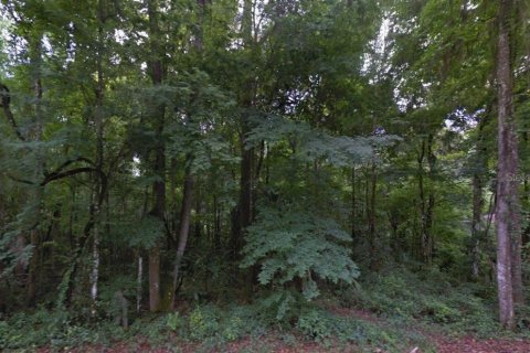 Land in Belleview, Florida № 2225941