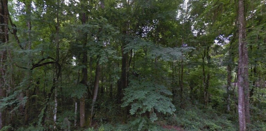 Land in Belleview, Florida № 2225941