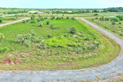 Land in LaBelle, Florida № 2164993