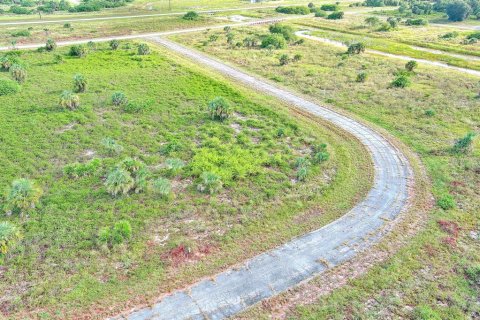 Land in LaBelle, Florida № 2164993 - photo 4