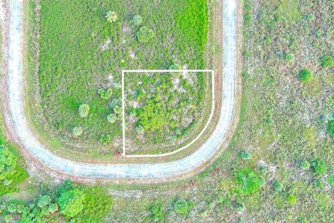 Land in LaBelle, Florida № 2164993 - photo 18