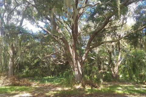 Land in Gibsonton, Florida № 1340426 - photo 18