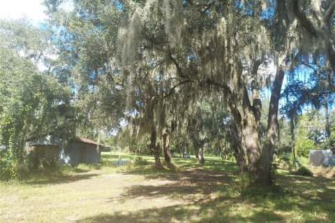 Land in Gibsonton, Florida № 1340426 - photo 15