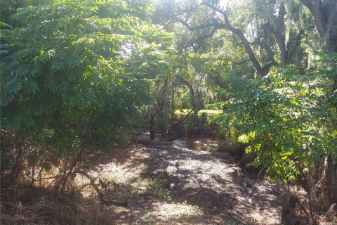 Land in Gibsonton, Florida № 1340426 - photo 20