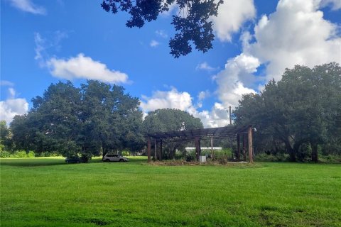 Land in Gibsonton, Florida № 1340426 - photo 3