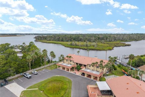 Condo à Crystal River, Floride, 2 chambres  № 2380436