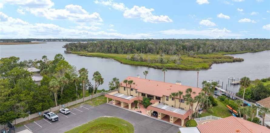 Condo à Crystal River, Floride, 2 chambres  № 2380436