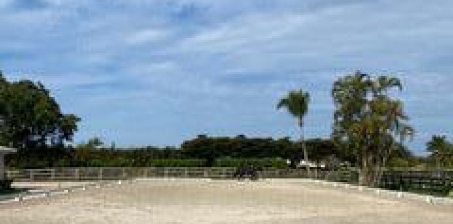 Immobilier commercial à Wellington, Floride 0.93 m2 № 1189732