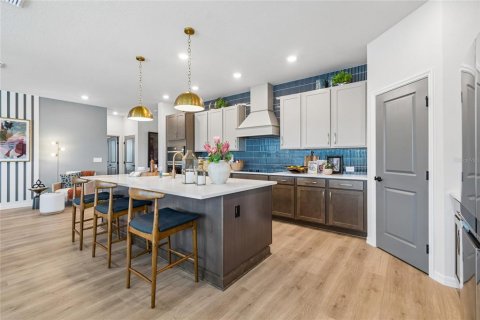 Villa ou maison à vendre à Plant City, Floride: 4 chambres, 244.8 m2 № 2430572 - photo 2