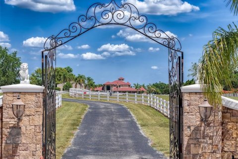 Купить виллу или дом в Тонотосасса, Флорида 3 комнаты, 655.89м2, № 1659685 - фото 3