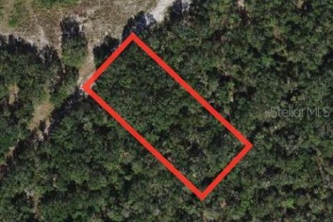 Land in Fort Meade, Florida № 2213456