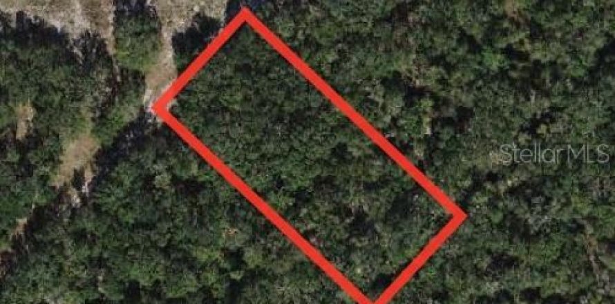 Terrain à Fort Meade, Floride № 2213456