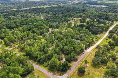 Купить виллу или дом в Даннеллон, Флорида 3 комнаты, 147.62м2, № 2377600 - фото 14