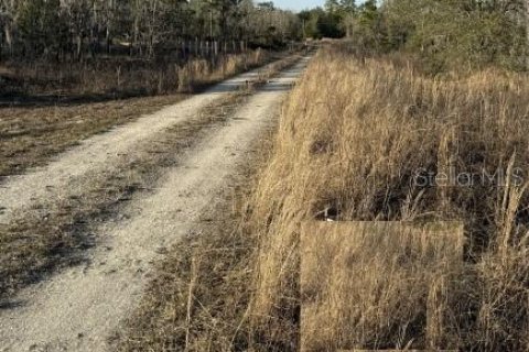 Land in Williston, Florida № 2214346 - photo 4