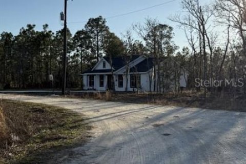 Land in Williston, Florida № 2214346 - photo 2