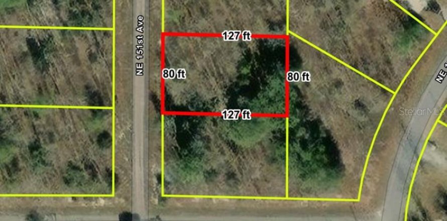 Land in Williston, Florida № 2214346