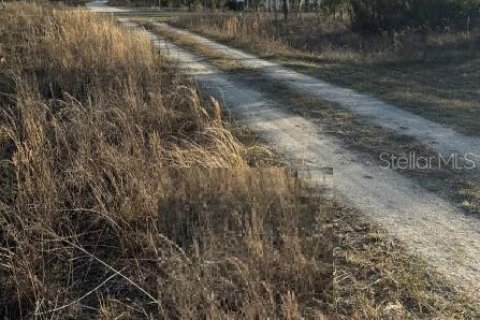 Land in Williston, Florida № 2214346 - photo 3