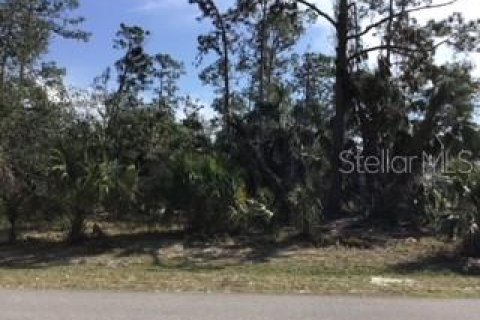 Land in North Port, Florida № 2165172