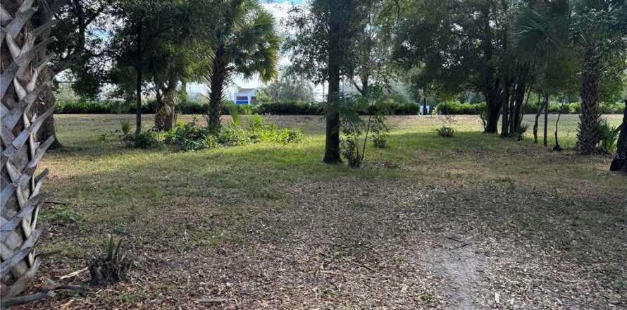 Land in Lakeland, Florida № 1534323