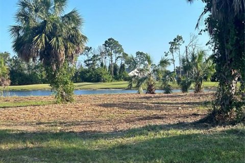 Terrain à vendre à Rotonda, Floride № 2238534 - photo 3