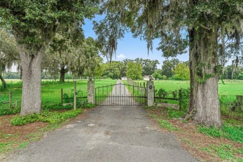 House in Summerfield, Florida 3 bedrooms, 161.19 sq.m. № 1869119 - photo 9