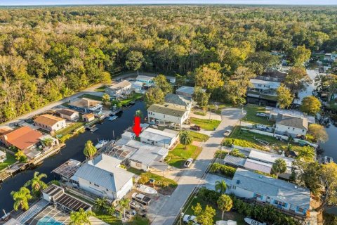 Terreno en venta en Weeki Wachee, Florida № 1555930 - foto 9