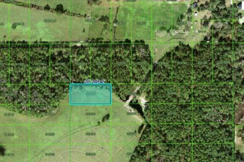 Terrain à Polk City, Floride № 2235142