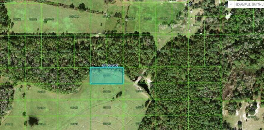Terrain à Polk City, Floride № 2235142