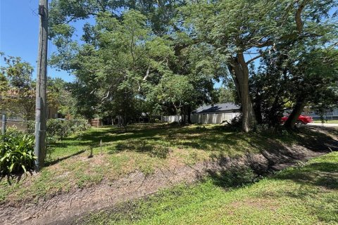 Land in Orlando, Florida № 1780264 - photo 3