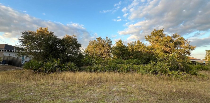 Terreno en Lehigh Acres, Florida № 2076883