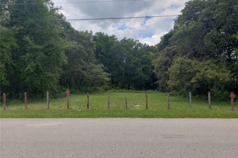 Terreno en venta en Apopka, Florida № 1798085 - foto 1