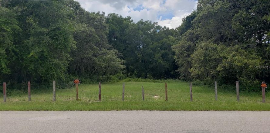 Terreno en Apopka, Florida № 1798085
