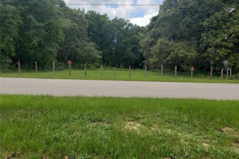 Terreno en venta en Apopka, Florida № 1798085 - foto 2