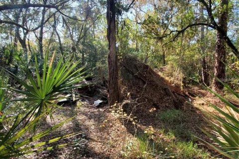 Terreno en venta en New Port Richey, Florida № 1306779 - foto 11