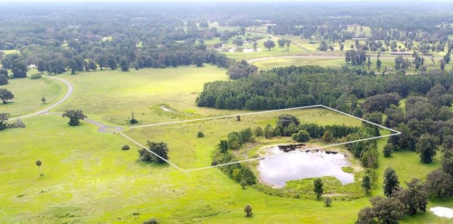Land in Ocala, Florida № 2396278