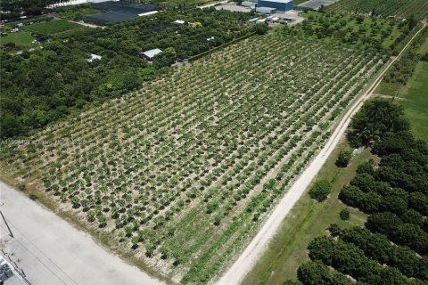 Terreno en venta en Homestead, Florida № 1872484 - foto 4