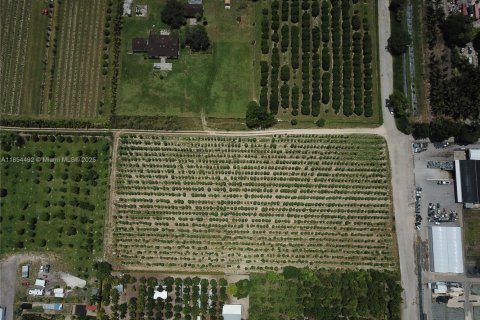 Terreno en venta en Homestead, Florida № 1872484 - foto 2