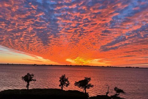 Condominio en venta en Bradenton, Florida, 2 dormitorios, 186.83 m2 № 2289680 - foto 4